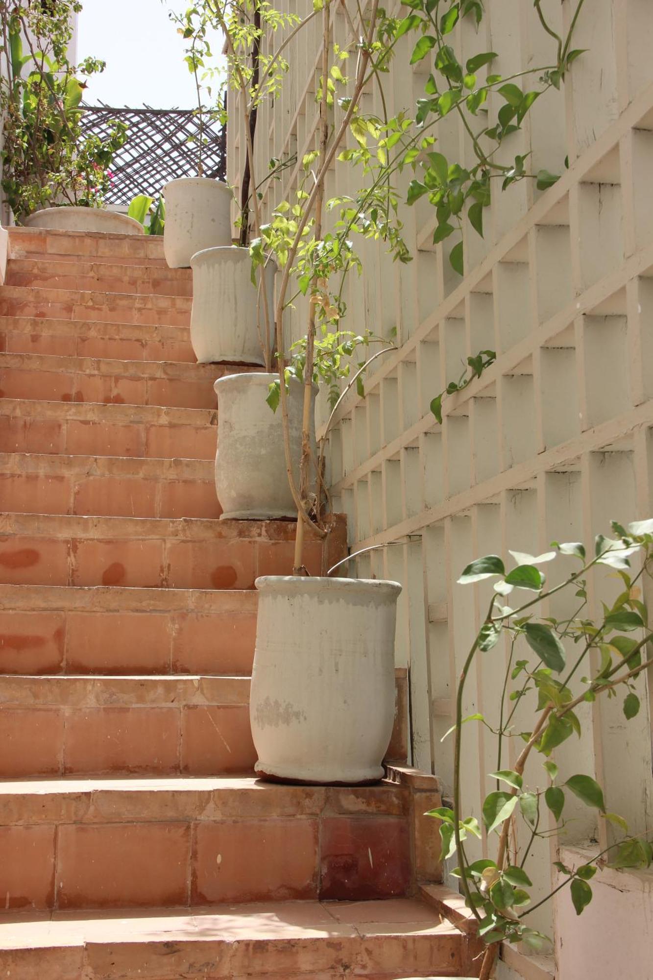 Riad Dar Nael Marrakesh Buitenkant foto